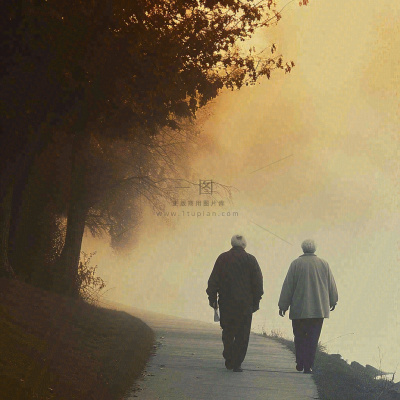 父母年长老人重阳节温馨落日背影