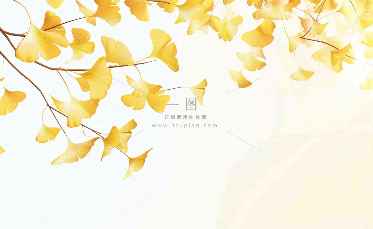 秋天银杏树黄叶落叶立秋秋分手绘插画背景