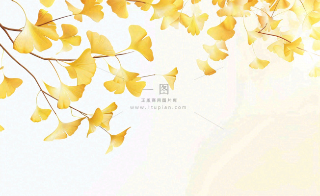 秋天银杏树黄叶落叶立秋秋分手绘插画背景 秋天银杏树黄叶落叶立秋秋分手绘插画背景