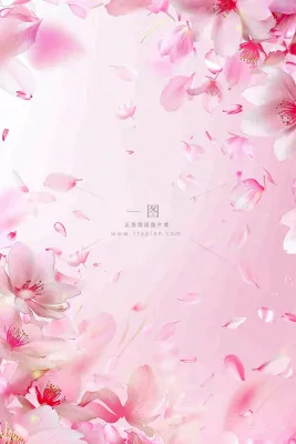 粉色樱花桃花花瓣飘落唯美浪漫春天春分情人七夕背景 粉色樱花桃花花瓣飘落唯美浪漫春天春分情人七夕背景