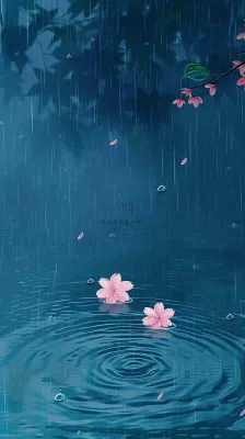 雨天雨滴低落水面泛起涟漪粉色花朵雨水谷雨寒露背景