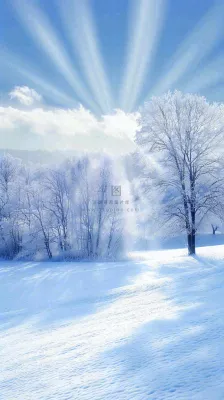 冬天东北森林白雪覆盖阳光小寒大寒大雪摄影图