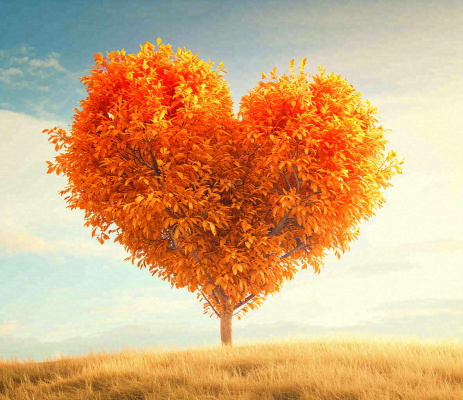 秋天爱心树木橙红色落叶蓝天温馨 秋天爱心树木橙红色落叶蓝天温馨
