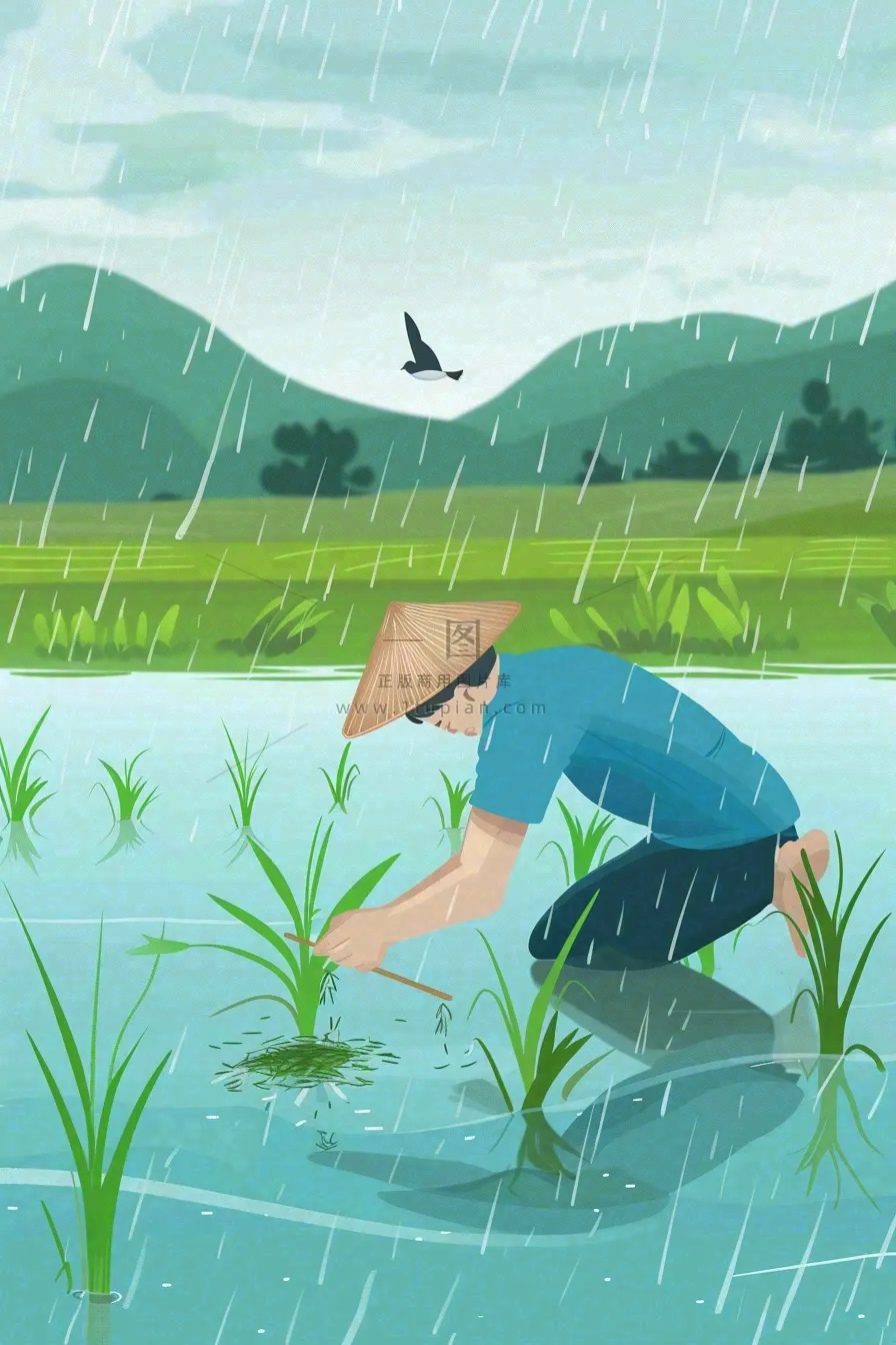 春耕农民种植水稻水田春雨燕子小满芒种春分卡通插画背景