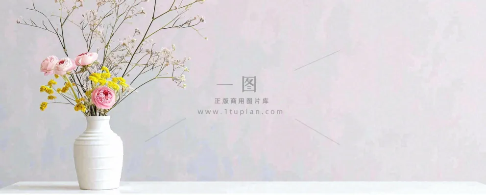 简约的墙面前有一瓶鲜花花束绿植,鲜艳清新新鲜室内装饰摄影图 简约的墙面前有一瓶鲜花花束绿植,鲜艳清新新鲜室内装饰摄影图