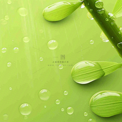 清新绿色春天绿芽叶子雨水露珠,春分谷雨摄影图 清新绿色春天绿芽叶子雨水露珠,春分谷雨摄影图