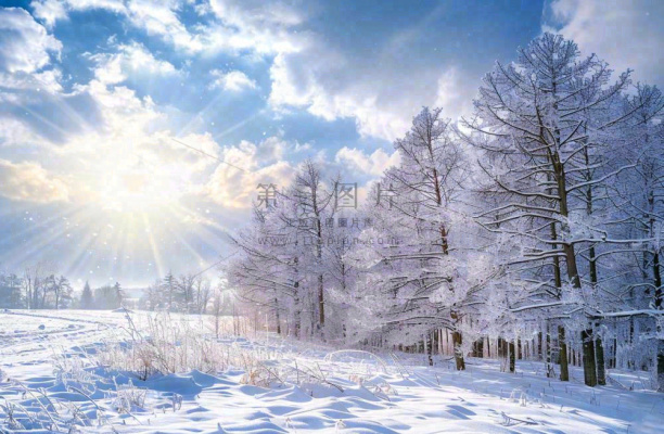 冬天白雪覆盖的森林阳光照射大自然雪景大雪小雪冬至摄影图