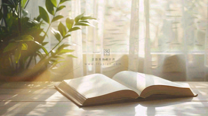 阳光下翻开的书本知识阅读世界读书日摄影图