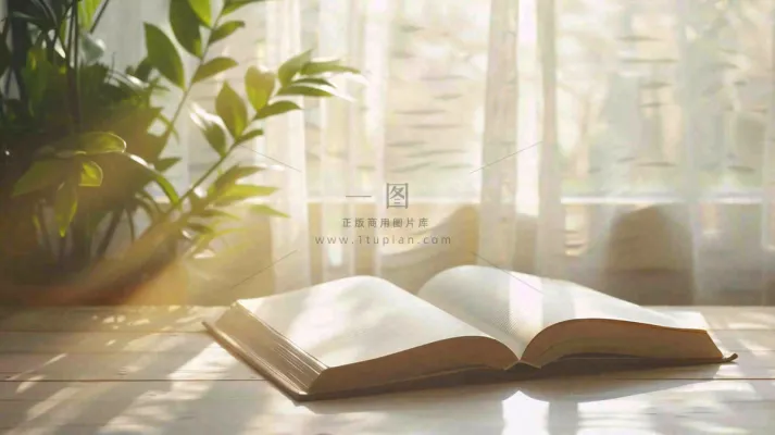 阳光下翻开的书本知识阅读世界读书日摄影图