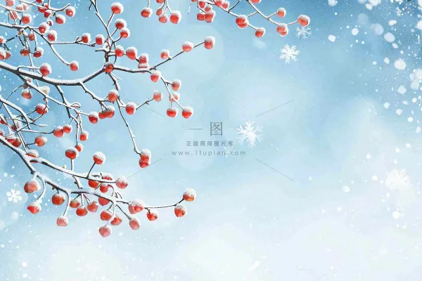 冬天白雪覆盖的红色果实白霜霜降小雪大雪水彩插画背景
