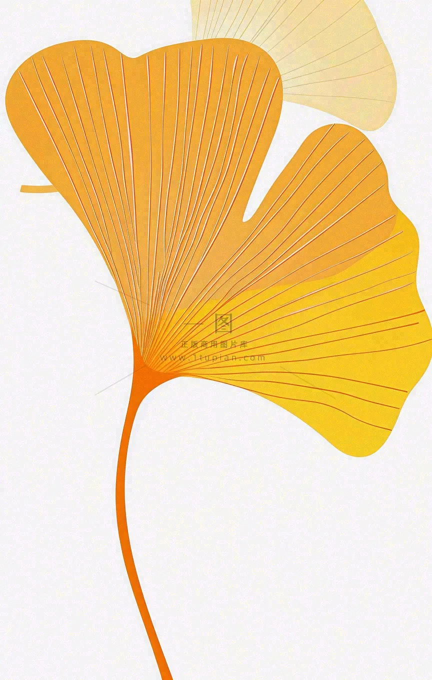 秋天秋分立秋