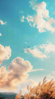 秋天蓝天户外芦苇草，立秋秋分摄影图