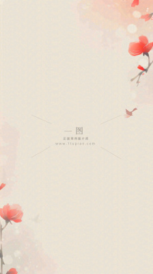 简约花朵鲜花纹理背景 简约花朵鲜花纹理背景