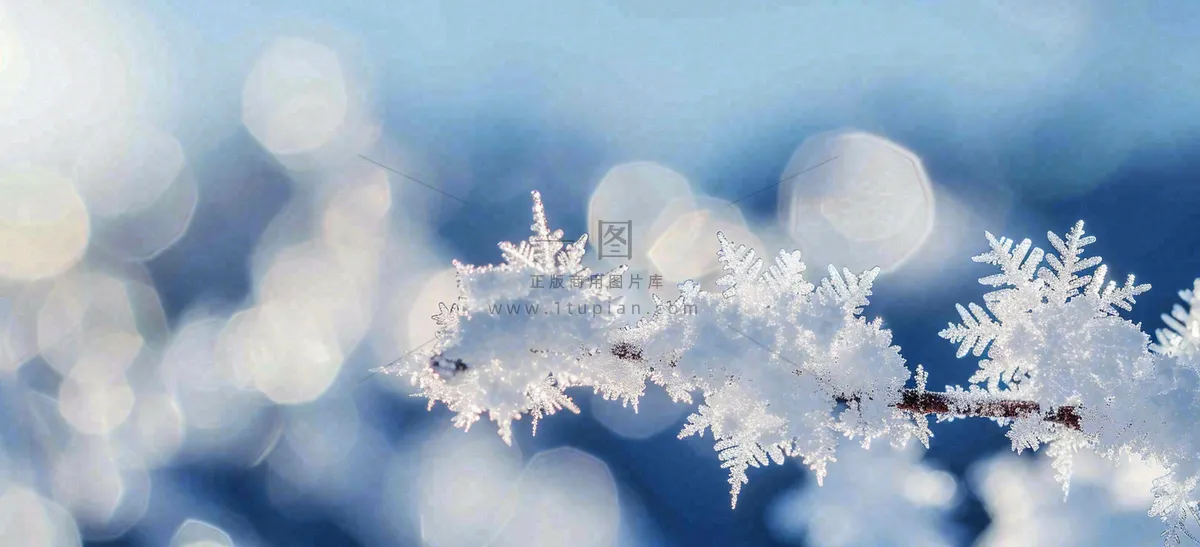 冰冻预警暴雪预警通知公告背景