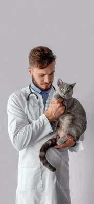 萌宠宠物医院医生抱着猫咪摄影图背景 萌宠宠物医院医生抱着猫咪摄影图背景