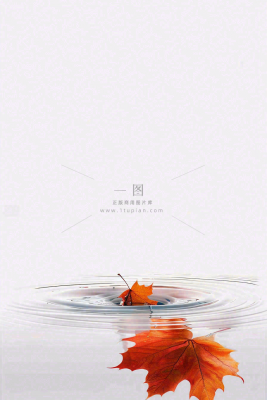秋天枫叶掉落在水面倒影立秋秋分摄影图