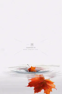 秋天枫叶掉落在水面倒影立秋秋分摄影图