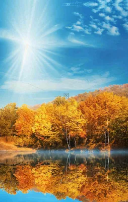 秋天蓝天阳光秋叶树木湖面水中倒影，秋分寒露摄影图