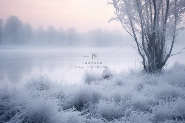 冬天清晨湖边的草地树木被白雪覆盖雾凇摄影图