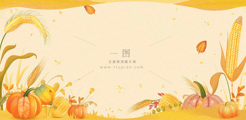 世界粮食日稻谷麦穗秋收卡通插画芒种秋分背景