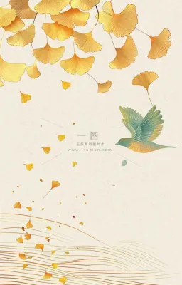 秋天秋分立秋 秋天秋分立秋