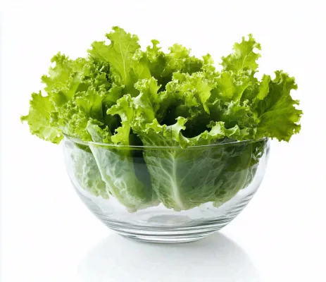 生菜透明玻璃碗蔬菜摄影图