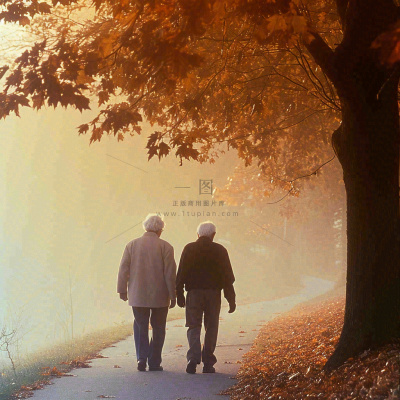 父母年长老人重阳节温馨落日背影