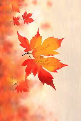 秋叶橙红色意境大气背景 秋叶橙红色意境大气背景