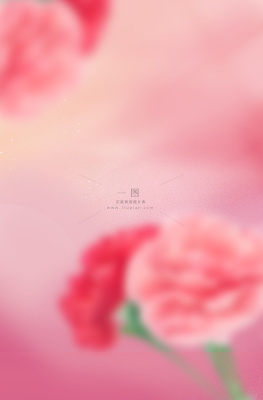 母亲节康乃馨花粉色背景