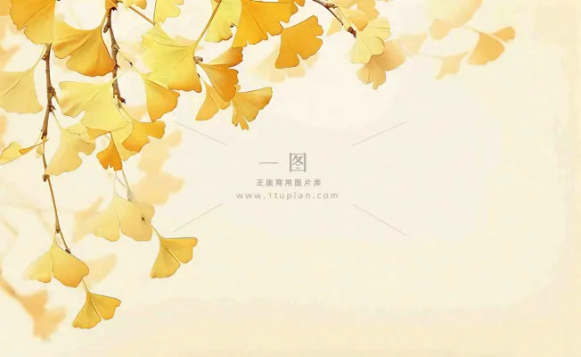 秋天银杏树黄叶落叶立秋秋分手绘插画背景 秋天银杏树黄叶落叶立秋秋分手绘插画背景