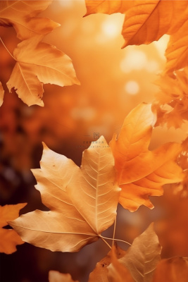 秋叶树枝金黄落叶简约节气海报背景 秋叶树枝金黄落叶简约节气海报背景