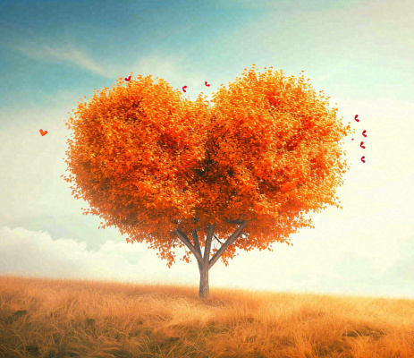 秋天爱心树木橙红色落叶蓝天温馨