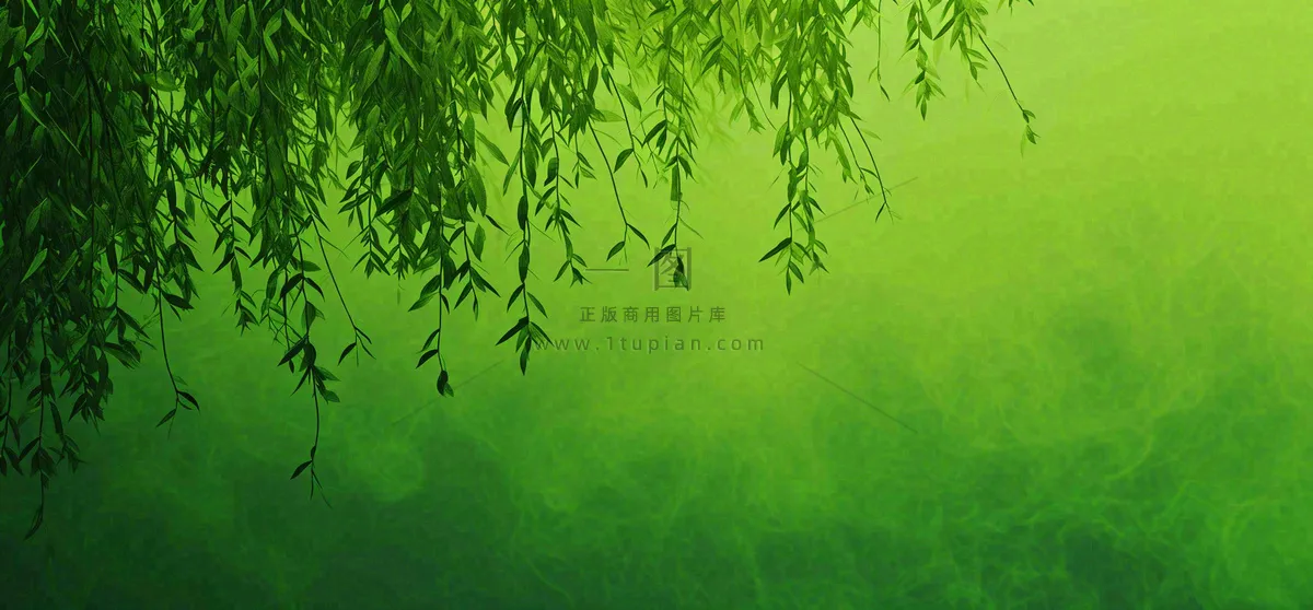 绿色简约绿植绿叶手绘插画笔墨意境