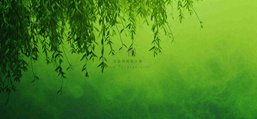 绿色简约绿植绿叶手绘插画笔墨意境 绿色简约绿植绿叶手绘插画笔墨意境