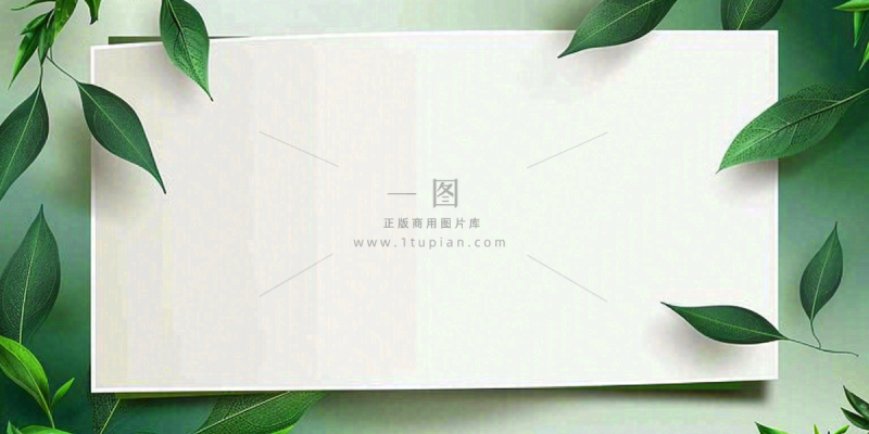 绿叶粽叶绿色边框白色信封端午节插画背景 绿叶粽叶绿色边框白色信封端午节插画背景