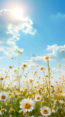 城市晴天阳光鲜花春天蓝天白云，立夏小满