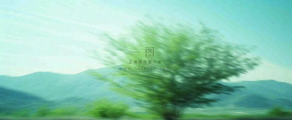 高山模糊绿树植物光影，大自然摄影图