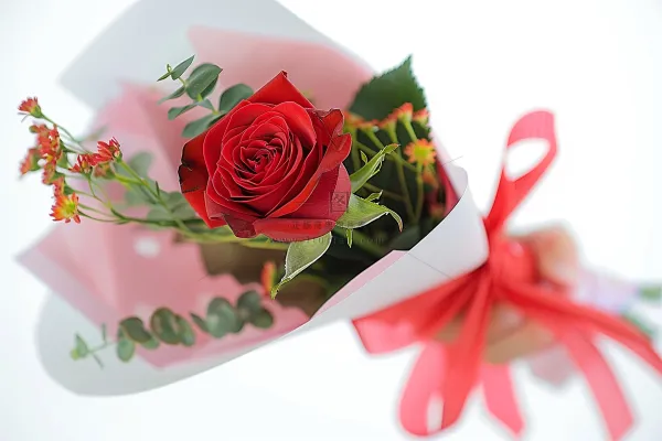 玫瑰花鲜花花朵摄影图