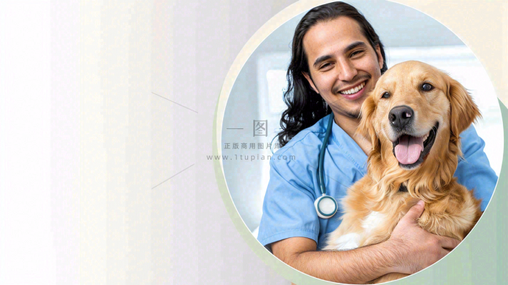 宠物医院猫狗生病救治摄影图 宠物医院猫狗生病救治摄影图