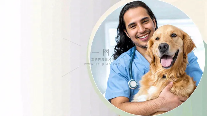 宠物医院猫狗生病救治摄影图 宠物医院猫狗生病救治摄影图