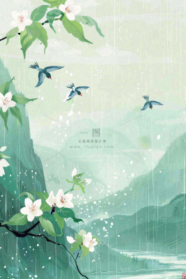 春天梅雨季山间燕子白花花朵雨水谷雨惊蛰寒露水墨插画背景