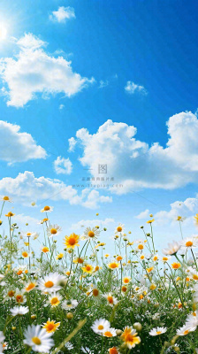 城市晴天阳光鲜花春天蓝天白云，立夏小满