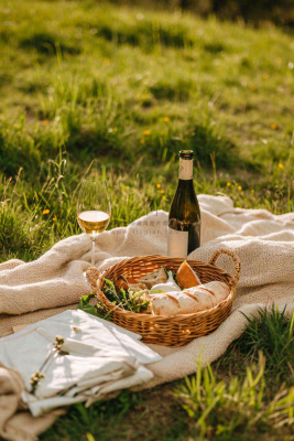 春天户外草坪野餐篮子露营食物酒面包摄影 春天户外草坪野餐篮子露营食物酒面包摄影