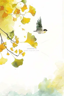 秋天银杏叶鸟儿中国风水彩国画立秋白露秋分插画背景 秋天银杏叶鸟儿中国风水彩国画立秋白露秋分插画背景