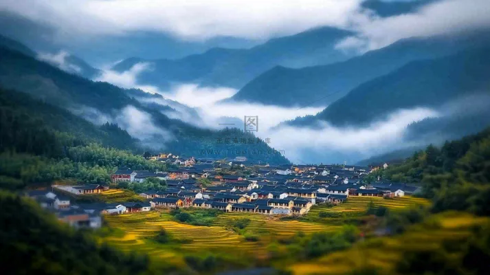 江南风景屋檐瓦舍雾村庄山林摄影图