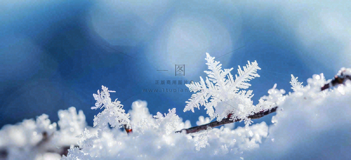 冰冻预警暴雪预警通知公告背景
