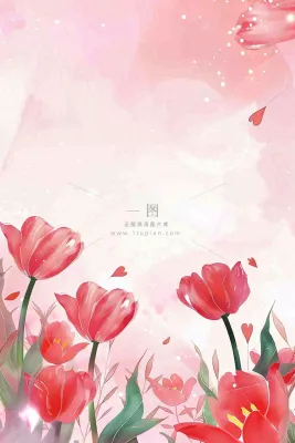 红色郁金香粉色背景浪漫七夕情人节插画背景