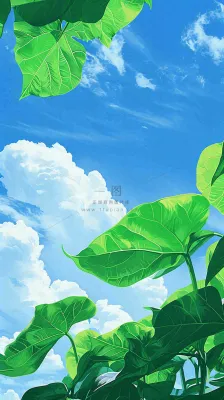 夏日荷叶绿色样式天空蓝天阳光清新白云，夏至小暑大暑处暑摄影图