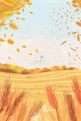 秋天金黄的麦田小麦黄树秋风丰收的季节立秋秋分卡通插画背景 秋天金黄的麦田小麦黄树秋风丰收的季节立秋秋分卡通插画背景
