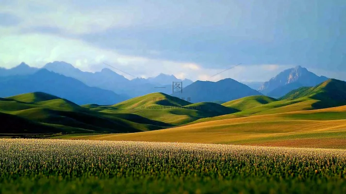 立秋高山草甸黄色山峦风景摄影图